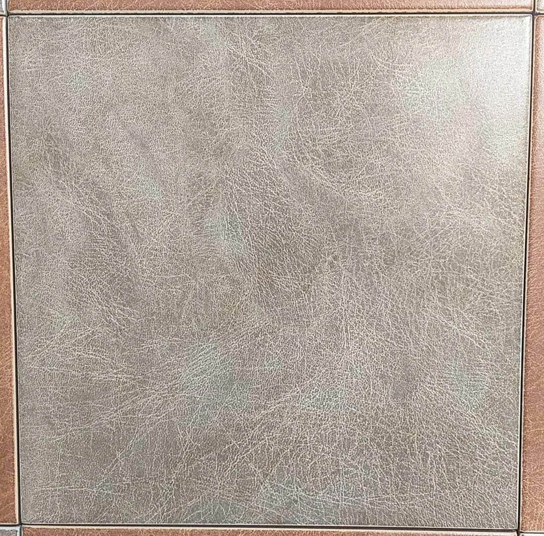 دیبا فندقی - کاشی آسیا