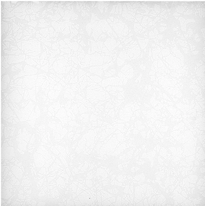 نگین - کاشی آسیا