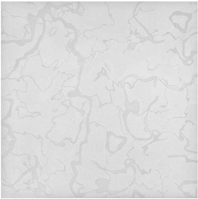 پرند سفید - کاشی آسیا