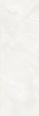 آمیتیس طوسی- کاشی آسیا