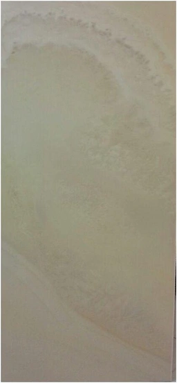 گلامور کرم- کاشی آسیا