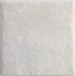 روناک طوسی کاشی آسیا